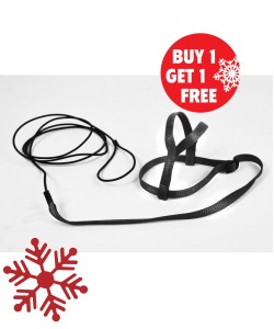 Avian Adventure Parrot Harness Large - Macaw, Cockatoos Black - BOGOF